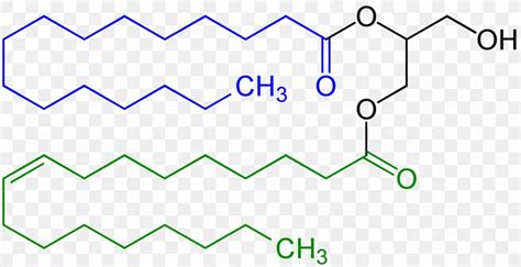 E 471: mono- and diglycerides of fatty acids